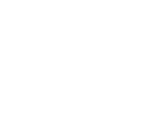 Login Logo